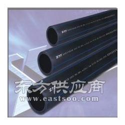供应优质雄塑pe给水管 pe给水管